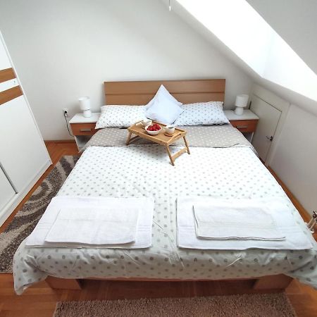 Apartman Ns Dan Private Parking Novi Sad Eksteriør billede