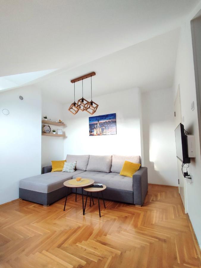 Apartman Ns Dan Private Parking Novi Sad Eksteriør billede