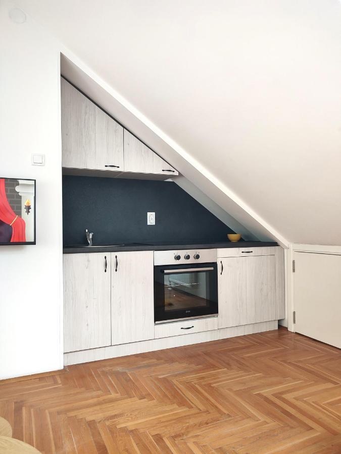 Apartman Ns Dan Private Parking Novi Sad Eksteriør billede
