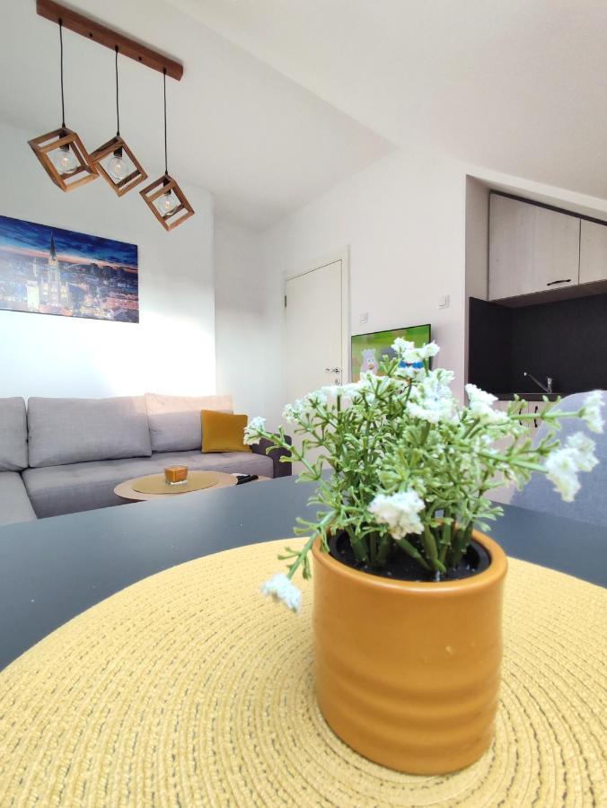 Apartman Ns Dan Private Parking Novi Sad Eksteriør billede