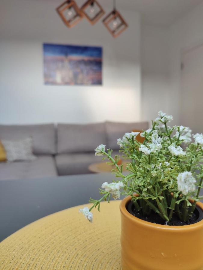 Apartman Ns Dan Private Parking Novi Sad Eksteriør billede
